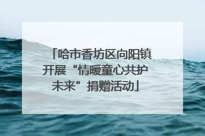 哈市香坊区向阳镇开展“情暖童心共护未来”捐赠活动
