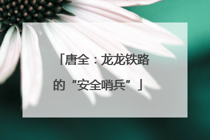 唐全：龙龙铁路的“安全哨兵”