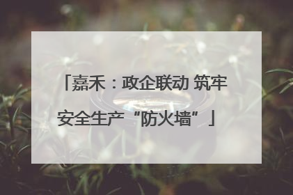嘉禾：政企联动 筑牢安全生产“防火墙”