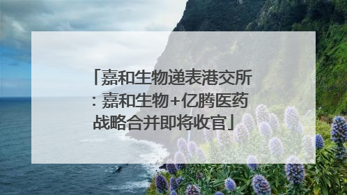 嘉和生物递表港交所：嘉和生物+亿腾医药战略合并即将收官