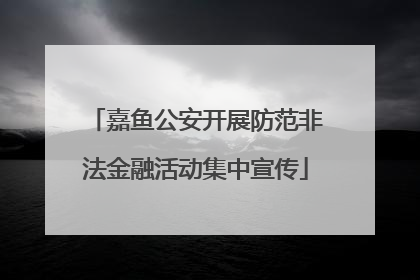 嘉鱼公安开展防范非法金融活动集中宣传