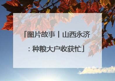 图片故事丨山西永济：种粮大户收获忙