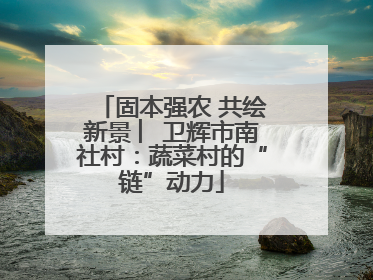 固本强农 共绘新景 ︳卫辉市南社村：蔬菜村的“链”动力