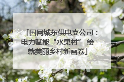 国网城东供电支公司：电力赋能“水果村” 绘就美丽乡村新画卷
