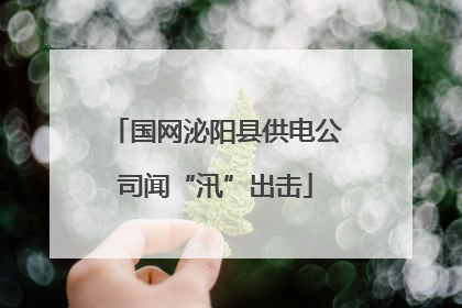 国网泌阳县供电公司闻“汛”出击