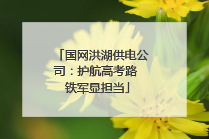 国网洪湖供电公司：护航高考路 铁军显担当