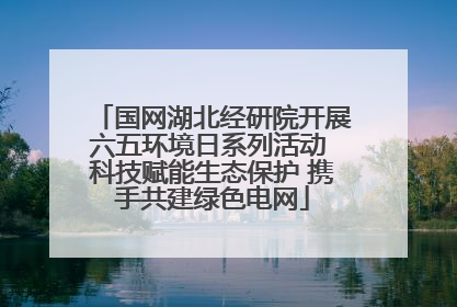 国网湖北经研院开展六五环境日系列活动 科技赋能生态保护 携手共建绿色电网