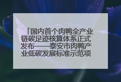 国内首个肉鸭全产业链碳足迹核算体系正式发布——泰安市肉鸭产业低碳发展标准示范项目顺利通过验收