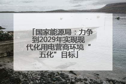 国家能源局：力争到2029年实现现代化用电营商环境“五化”目标