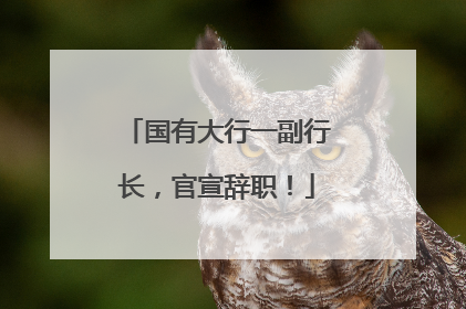 国有大行一副行长，官宣辞职！