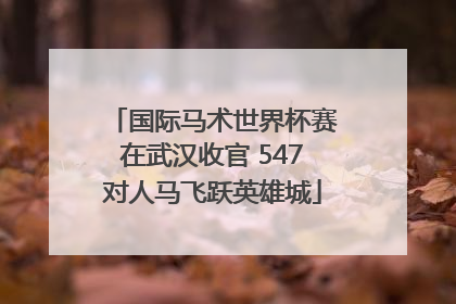 国际马术世界杯赛在武汉收官 547对人马飞跃英雄城