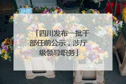 四川发布一批干部任前公示，涉厅级领导职务