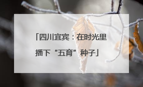 四川宜宾：在时光里播下“五育”种子