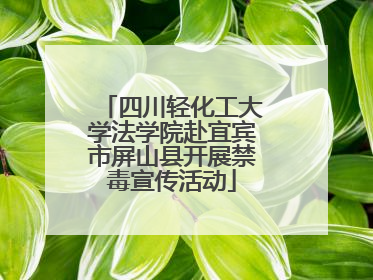 四川轻化工大学法学院赴宜宾市屏山县开展禁毒宣传活动