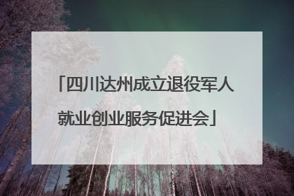 四川达州成立退役军人就业创业服务促进会