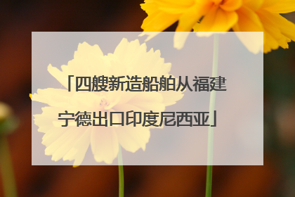 四艘新造船舶从福建宁德出口印度尼西亚