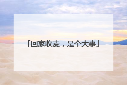 回家收麦，是个大事
