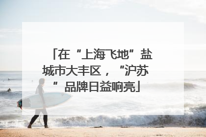 在“上海飞地”盐城市大丰区，“沪苏”品牌日益响亮