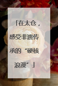 在太仓，感受非遗传承的“硬核浪漫”