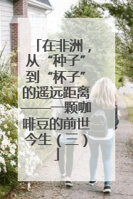 在非洲，从“种子”到“杯子”的遥远距离——一颗咖啡豆的前世今生（三）