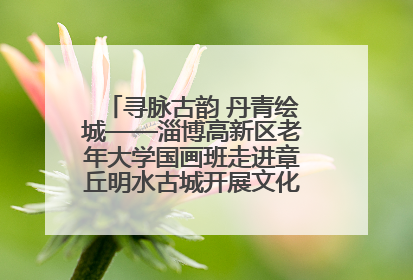 寻脉古韵 丹青绘城——淄博高新区老年大学国画班走进章丘明水古城开展文化研学活动