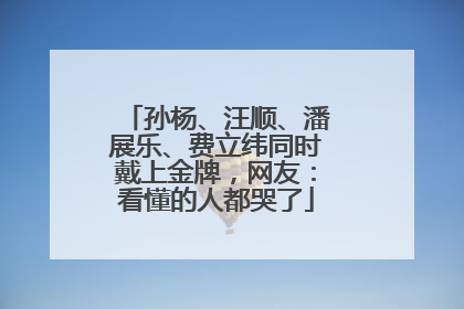 孙杨、汪顺、潘展乐、费立纬同时戴上金牌，网友：看懂的人都哭了
