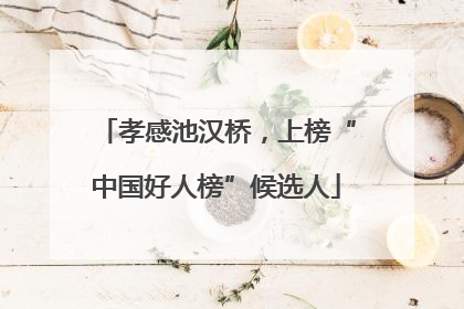 孝感池汉桥，上榜“中国好人榜”候选人