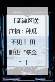 孟津区送庄镇：种瓜不见土 田野更“多金”