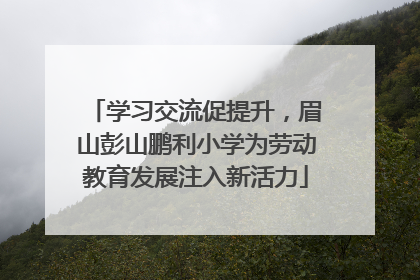 学习交流促提升，眉山彭山鹏利小学为劳动教育发展注入新活力
