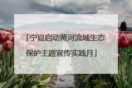 宁夏启动黄河流域生态保护主题宣传实践月