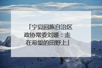 宁夏回族自治区政协常委刘媛：走在希望的田野上