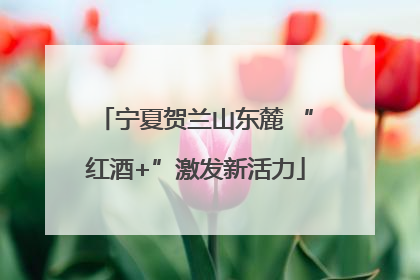 宁夏贺兰山东麓 “红酒+”激发新活力
