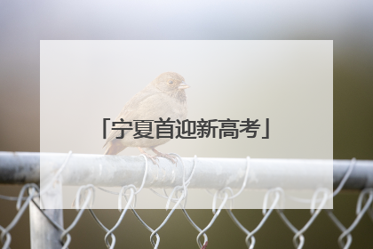 宁夏首迎新高考