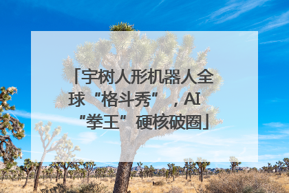 宇树人形机器人全球“格斗秀”，AI“拳王”硬核破圈