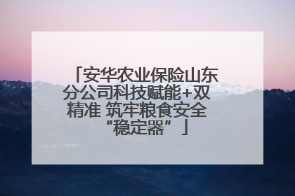安华农业保险山东分公司科技赋能+双精准 筑牢粮食安全“稳定器”