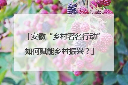 安徽“乡村著名行动”如何赋能乡村振兴？