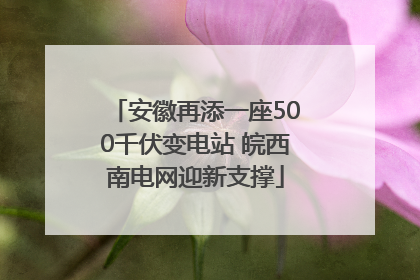 安徽再添一座500千伏变电站 皖西南电网迎新支撑