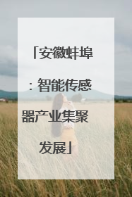 安徽蚌埠：智能传感器产业集聚发展