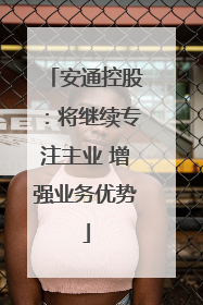 安通控股：将继续专注主业 增强业务优势