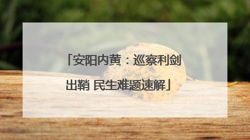 安阳内黄：巡察利剑出鞘 民生难题速解