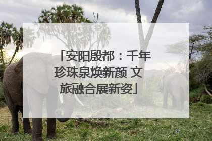 安阳殷都：千年珍珠泉焕新颜 文旅融合展新姿