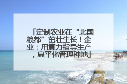 定制农业在“北国粮都”茁壮生长！企业：用算力指导生产，扁平化管理种地