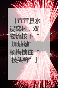 宜章县水浸窝村：双物流按下“加速键” 杨梅锁住“枝头鲜”