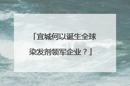 宜城何以诞生全球染发剂领军企业？