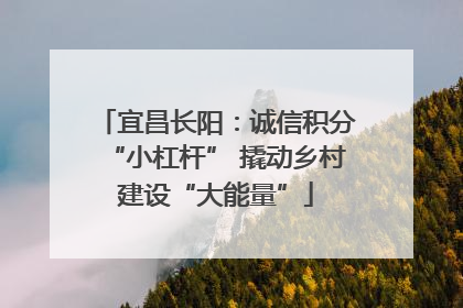 宜昌长阳：诚信积分“小杠杆” 撬动乡村建设“大能量”