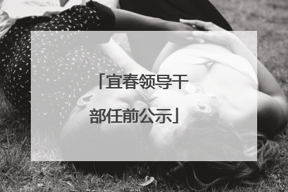 宜春领导干部任前公示