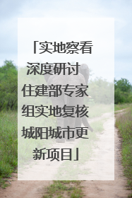 实地察看深度研讨 住建部专家组实地复核城阳城市更新项目