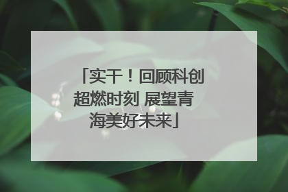 实干！回顾科创超燃时刻 展望青海美好未来