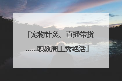 宠物针灸、直播带货……职教周上秀绝活