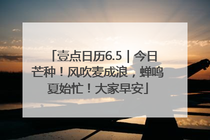 壹点日历6.5｜今日芒种！风吹麦成浪，蝉鸣夏始忙！大家早安